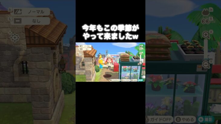 今年もアイツがやって来た🐰 #あつ森 #あつまれどうぶつの森 #あつ森好きな人と繋がりたい #animalcrossing #おかめなっ島 #acnh #easter #shorts #ぴょんたろう