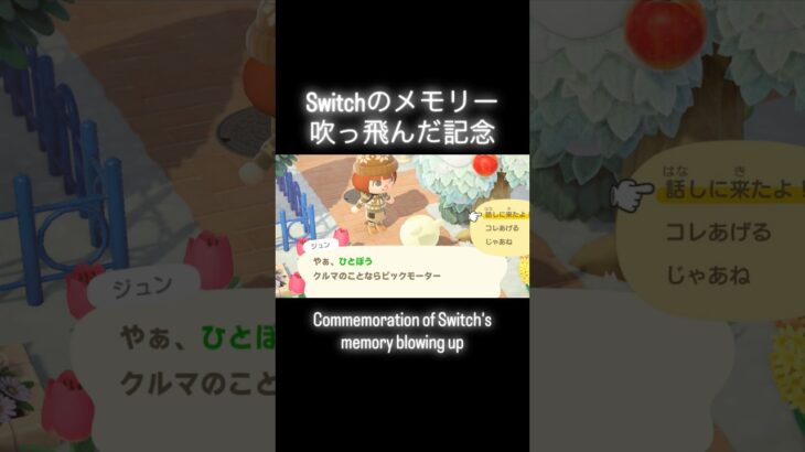 データー消えて涙そうそう😭 #あつ森 #あつまれどうぶつの森 #あつ森好きな人と繋がりたい #animalcrossing #おかめなっ島 #acnh #microsd #思い出 #shorts