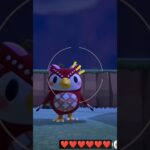 フーコちゃん🎀　 #あつ森 #任天堂 #あつまれどうぶつの森 #animalcrossing #ゲーム #ゲーム実況 #gaming #switch #switch2 #星