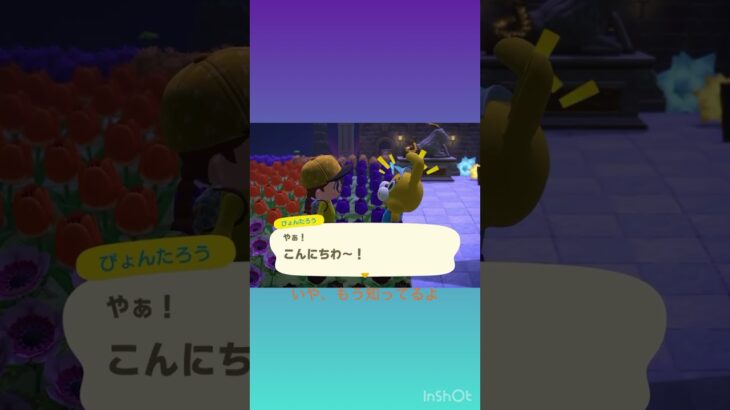 意外なカップル🫢😳😱 #あつ森 #あつまれどうぶつの森 #animalcrossing #shorts #gaming #ゲーム #イースター #どうぶつの森