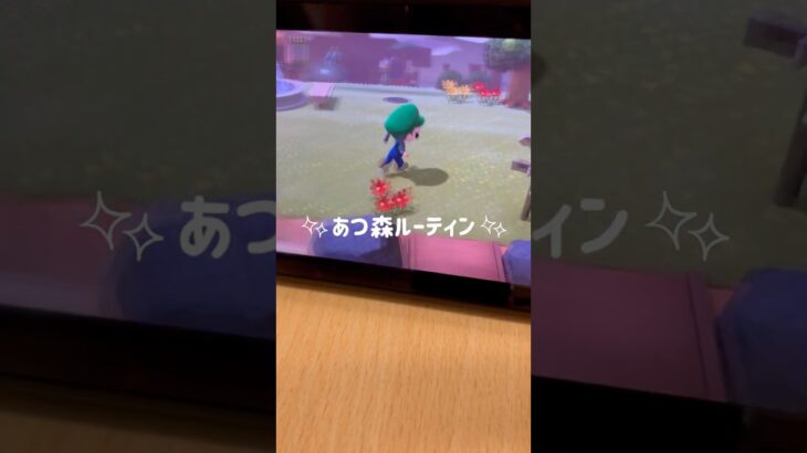 あつ森ルーティン🏝⛺️#animalcrossing #switch #あつ森 #ルーティン