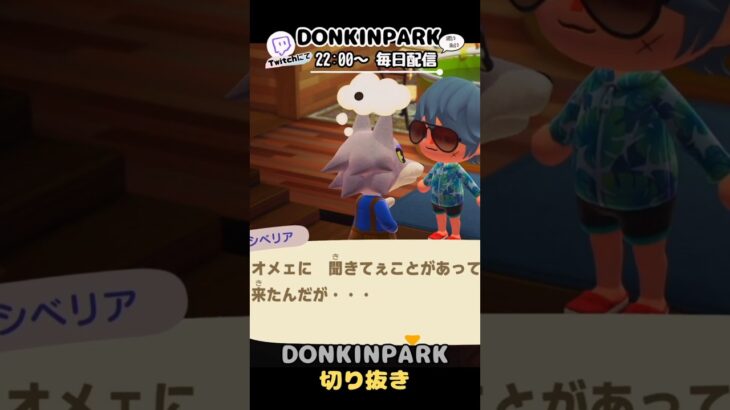 【あつ森】シベリアと一触即発する【あつまれどうぶつの森】 #どうぶつの森  #animalcrossing   #twitch #switch2