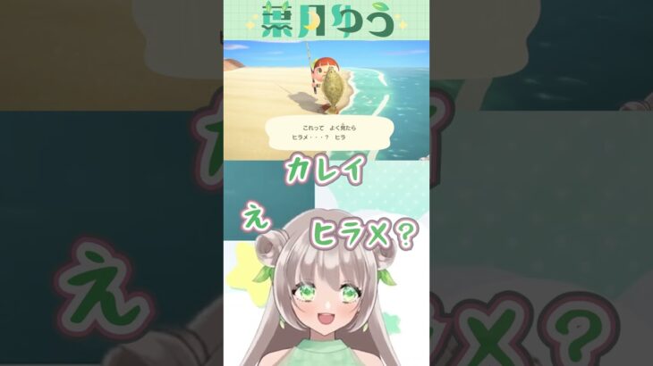 【あつ森】ヒラメきはいつも水の中　#あつ森 #animalcrossing #vtuber #あつまれどうぶつの森 ＃初森