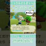 あつまれどうぶつの森【サバンナから写真もらった‼︎大好き…ありがとう…】またね… #ベイビーやしのき大冒険 #あつ森b.y.d