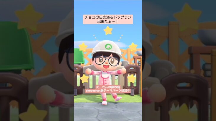 【あつ森】日光浴場＆ドッグラン作ったよ@たーさんの趣味の部屋 #たーさんの夢の島 chocochan島#shorts