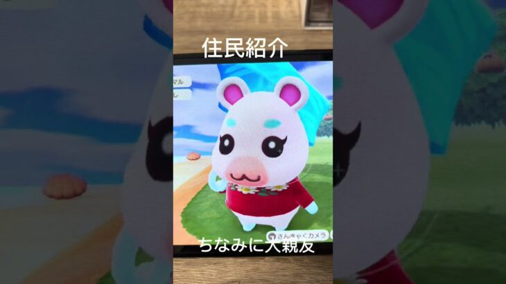 住民紹介 #あつ森 #colonelkkjϟ #あつまれどうぶつの森 #どうぶつの森 #animalcrossing #ゲーム