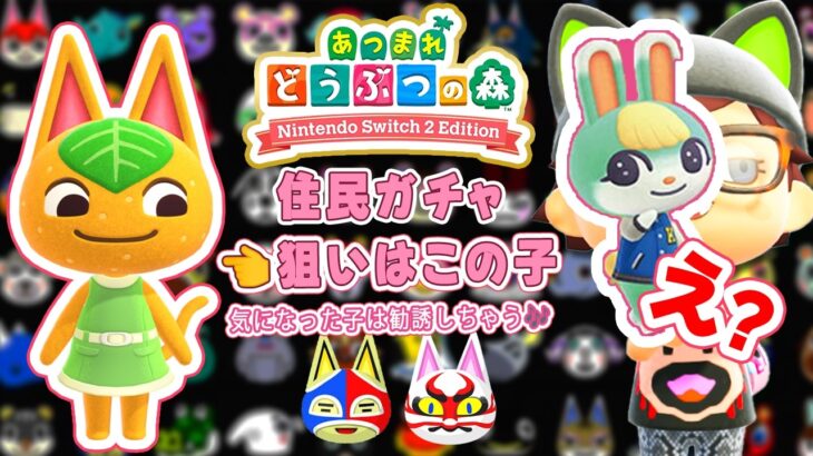 【あつ森】え？まさかの激レア💞ミッチェル？住民ガチャ⭐狙いはあの子！🌸今日のルーティーン🎶🔔ベル集め・釣り・虫取りetc ・島クリ📷住民写真🎬212 #switch #住民ガチャミッチェル