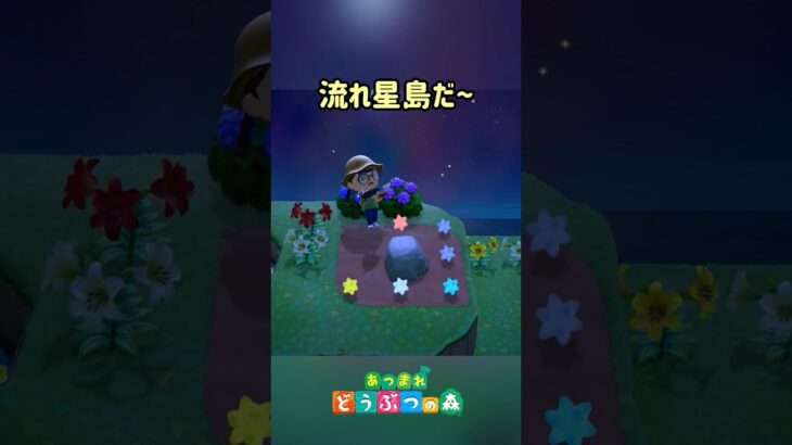 【あつ森】かっぺいのボートツアーin流れ星島🌠🛶 #あつまれどうぶつの森 #あつ森 #animalcrossing #shorts