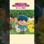 【あつ森】蜂取り名人やられました🤣@たーさんの趣味の部屋 #たーさん昆虫記#mochachan島 #shorts