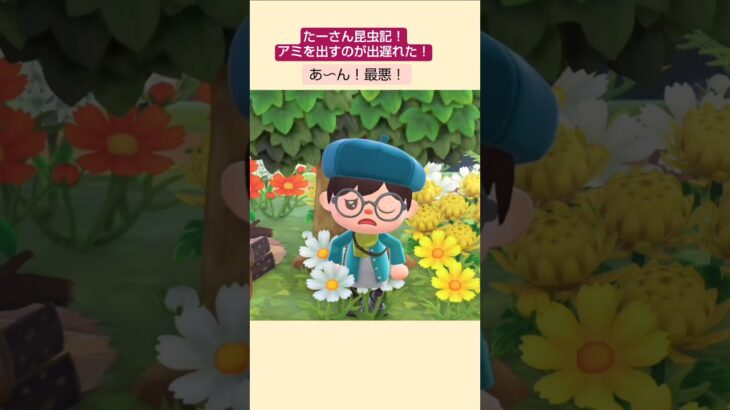 【あつ森】蜂取り名人やられました🤣@たーさんの趣味の部屋 #たーさん昆虫記#mochachan島 #shorts