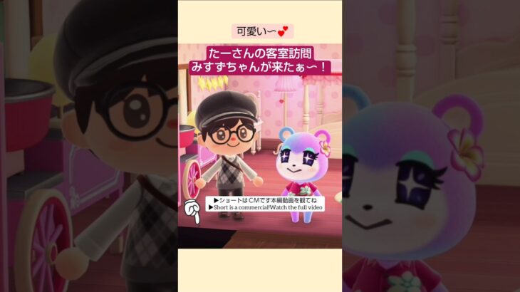 【あつ森】みすずちゃんが宿泊に来たぁ〜@たーさんの趣味の部屋 #たーさんの客室訪問 #mochachan島 #shorts