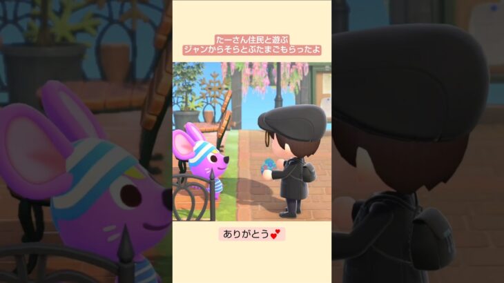【あつ森】そらとぶたまごもらったよ@たーさんの趣味の部屋 #たーさん住民と遊ぶ #mochachan島 #shorts