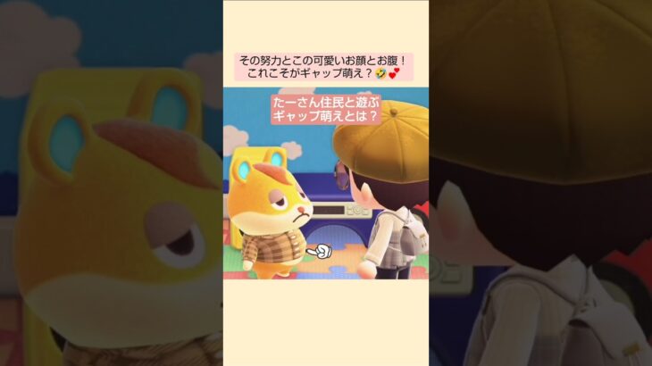 【あつ森】ギャップ萌えとは？@たーさんの趣味の部屋 #たーさん住民と遊ぶ #mochachan島 #shorts
