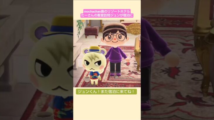 【あつ森】ジュンくんが宿泊に来たぁ〜@たーさんの趣味の部屋 #たーさんの客室訪問 #mochachan島 #shorts