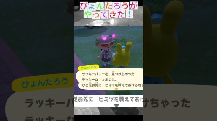 【あつ森】ぴょんたろうの季節だね #nintendoswitch   #あつまれどうぶつの森