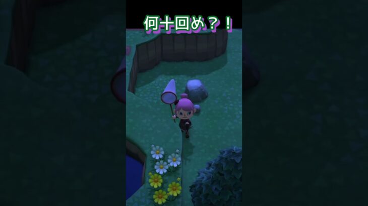 無理すぎて一生獲れないかと思ってた #あつ森 #ゲーム実況 #short