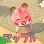 【あつ森】住民のアイテム買取！！安いアイテムはどれ・・？ #shorts #あつ森 #あつまれどうぶつの森