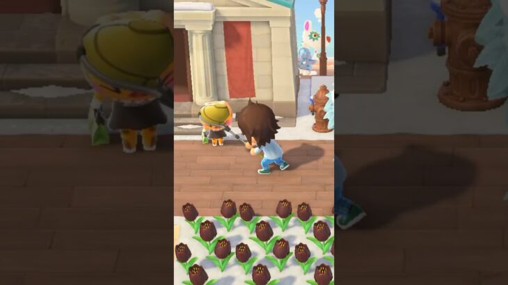 【あつ森】こいつキモいよ（泣）　#shorts #あつ森
