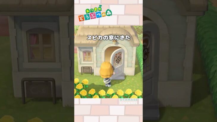 【あつ森小ネタ】そこ⁉  #shorts  #あつ森 #あつまれどうぶつの森