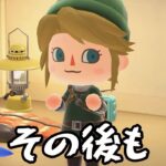 【あつ森】キャンプサイトで苦戦するリンク・・ #shorts #あつ森 #あつまれどうぶつの森