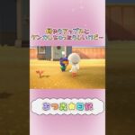 【あつ森】ずっと怒っててほしい　#あつ森日記 #shorts #あつ森 #あつまれどうぶつの森