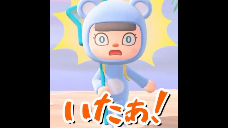 【あつ森】くまなび、住民の依頼をこなしてきます！！ #shorts #あつ森 #あつまれどうぶつの森