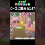 【#あつ森】やっぱり やめンの？が強すぎた。しかしクマである私が最強だ。#あつまれどうぶつの森 /#shorts /#ゲーム実況者