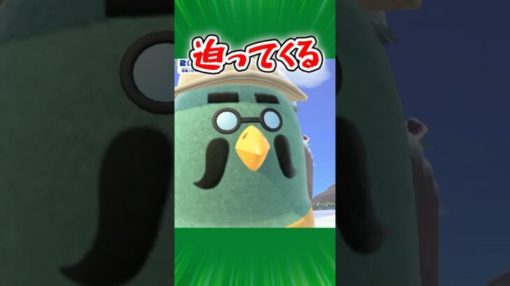 マスター距離バグってない？😂【あつ森】 #shorts #あつ森 #あつまれどうぶつの森 #ゲーム実況