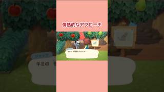 情熱的なアプローチ　#shorts  #あつ森