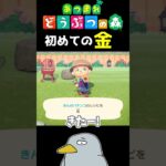初めての金 #shorts #あつ森 #あつまれどうぶつの森