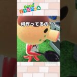 【あつ森小ネタ】作り方あってる？#shorts  #あつ森 #あつまれどうぶつの森