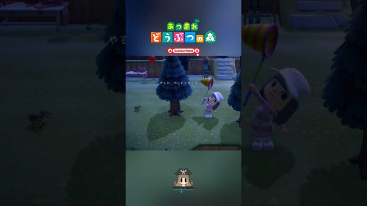 勝負！⚓️  【あつまれ動物の森】 【癒し】 #shorts #あつ森