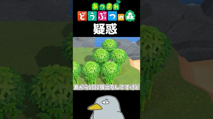 疑惑。検証。#shorts #あつ森 #あつまれどうぶつの森