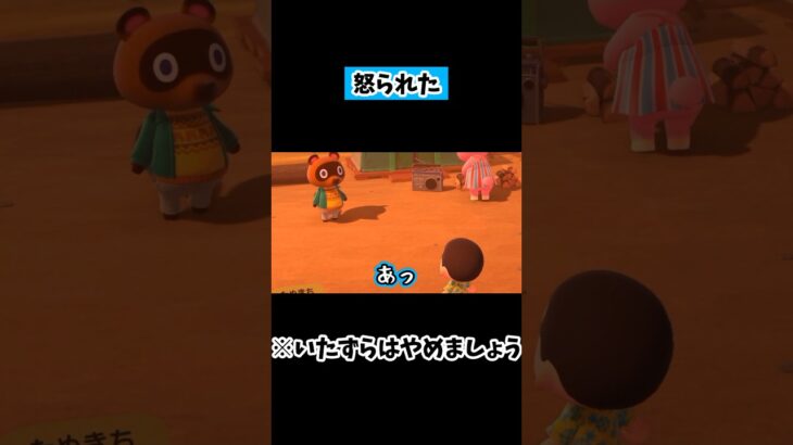 住民にちょっかいかけて怒られる実況者　#shorts #あつ森 #だいや