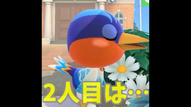 【あつ森】またもや涙の再会か・・！？ #shorts #あつ森 #あつまれどうぶつの森