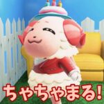 【あつ森】脳筋ちゃちゃまるの誕生日だー！！ #shorts #あつ森 #あつまれどうぶつの森