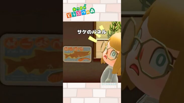 【あつ森】この展示、反則#shorts  #あつ森 #あつまれどうぶつの森