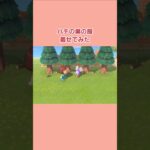 ハチの巣の服着せてみた　#shorts   #あつ森