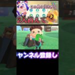 葉っぱ職人参上！【あつまれどうぶつの森】【あつ森】 #あつまれどうぶつの森 #あつ森 #どうぶつの森 #ゲーム #ゲーム実況 #shorts