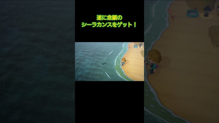 遂に念願のシーラカンスをゲット！【あつ森】#shorts