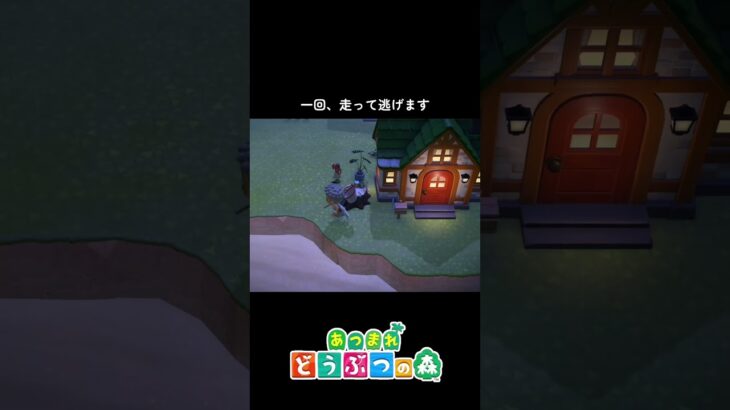 【あつ森】サソリ苦手な人、これやってみ #shorts#あつ森#あつまれどうぶつの森#サソリ