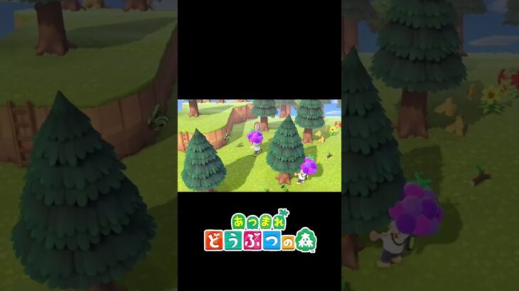 初めて見る蝶々で大パニックした結果…【あつ森】#あつ森 #あつまれどうぶつの森 #shorts