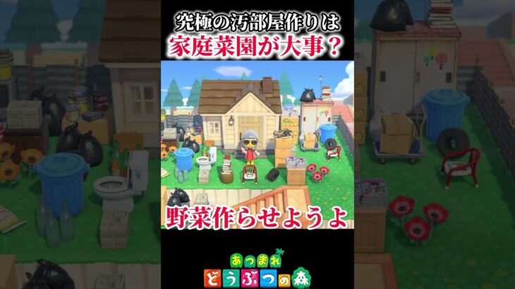 汚部屋の庭で家庭菜園まで始めてみる！【あつ森】【あつまれどうぶつの森】#shorts