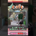 【あつ森ハピパラ】真面目(当社比)なカフェ作り!【切り抜き】#shorts