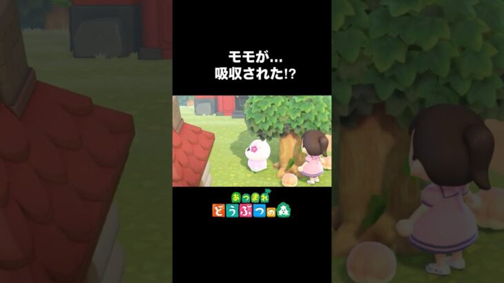 【あつ森】モモを吸収したゆきみ⁉︎#shorts