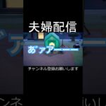 あつもり初心者🔰#あつ森 #あつまれどうぶつの森 #ゲーム #配信 #切り抜き #夫婦 #shorts