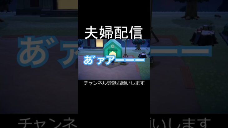 あつもり初心者🔰#あつ森 #あつまれどうぶつの森 #ゲーム #配信 #切り抜き #夫婦 #shorts