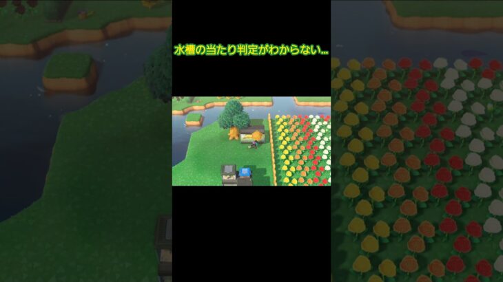 水槽の当たり判定がわからない…【あつ森】#shorts
