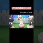 【どうぶつの森】住人さん紹介#あつ森 #あつまれどうぶつの森 #ねこ  #shorts