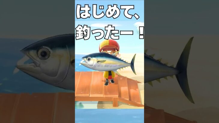 【あつ森】歓喜！！レア魚のマグロ、はじめて釣った！！ #shorts